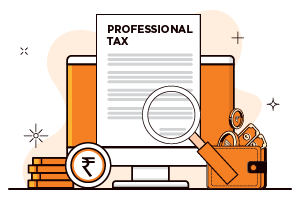PROFESSIONAL TAX RETURN